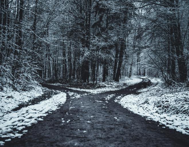 A road leading into a snowy forest that forks in two directions